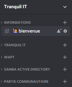 Aperçu des catégories du serveur Discord Tranquil IT