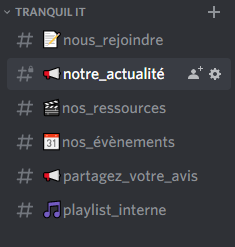 Aperçu des salons Discord de la catégorie Tranquil IT